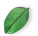 floating_leaf_01 https://lumain.ae/wp-content/uploads/2025/07/floating_leaf_01.png