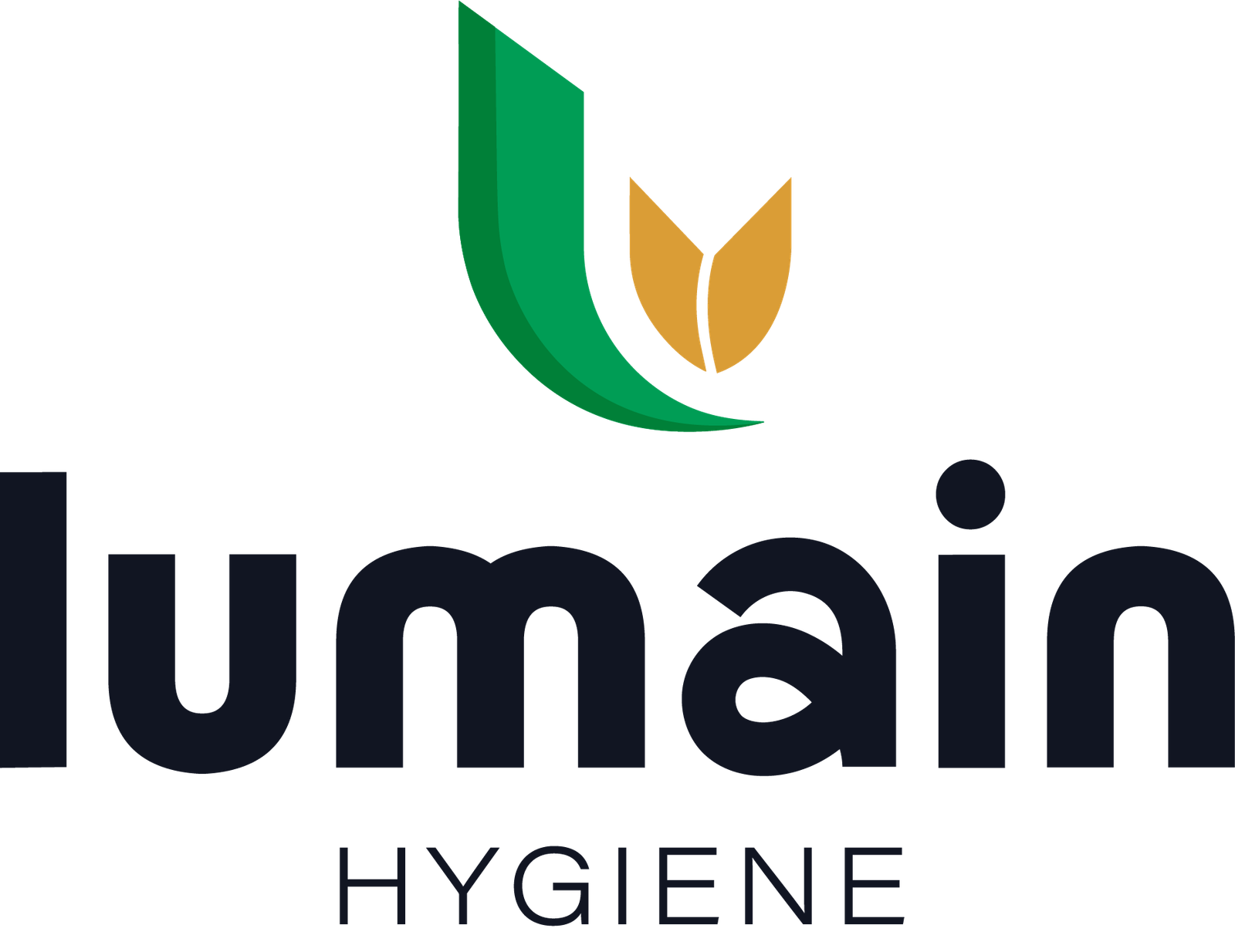 https://lumain.ae/wp-content/uploads/2026/06/Asset-29@4x.png